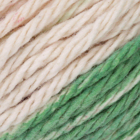 Lily Sugar'n Cream Yarn