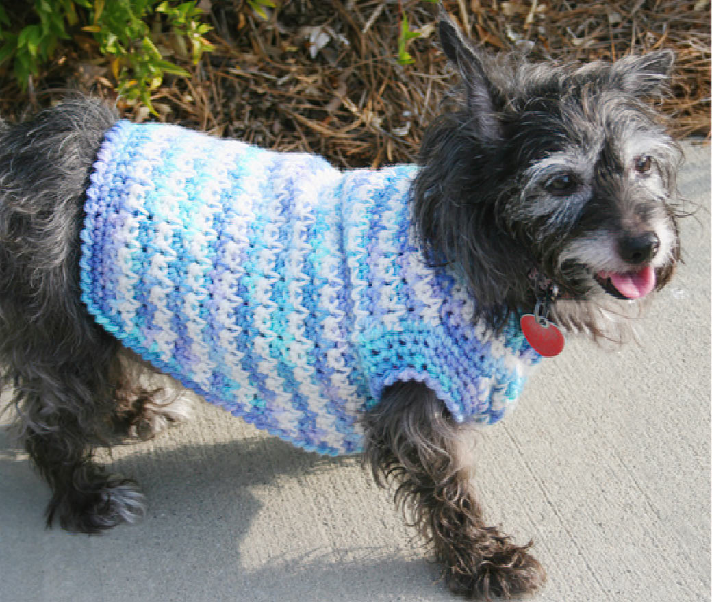 Free Dog Sweater Crochet Pattern