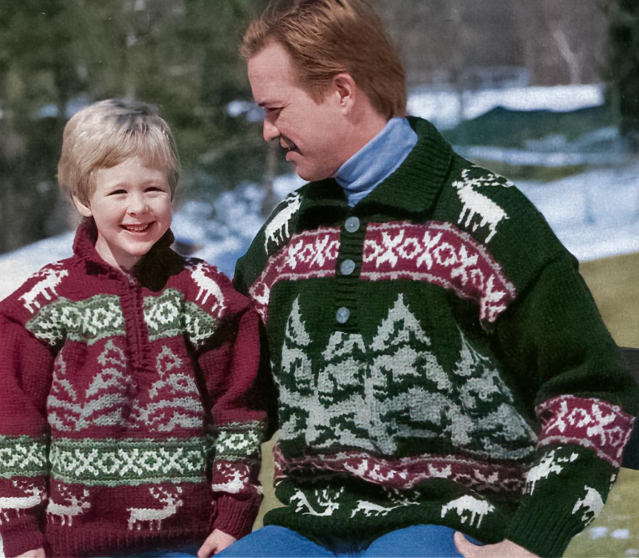 Modèle de pull pour enfant avec des rennes et des arbres