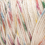 Caron Simply Soft Yarn