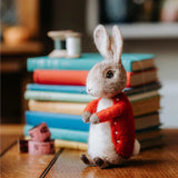 Bertie Bunny Needle Felting Kit