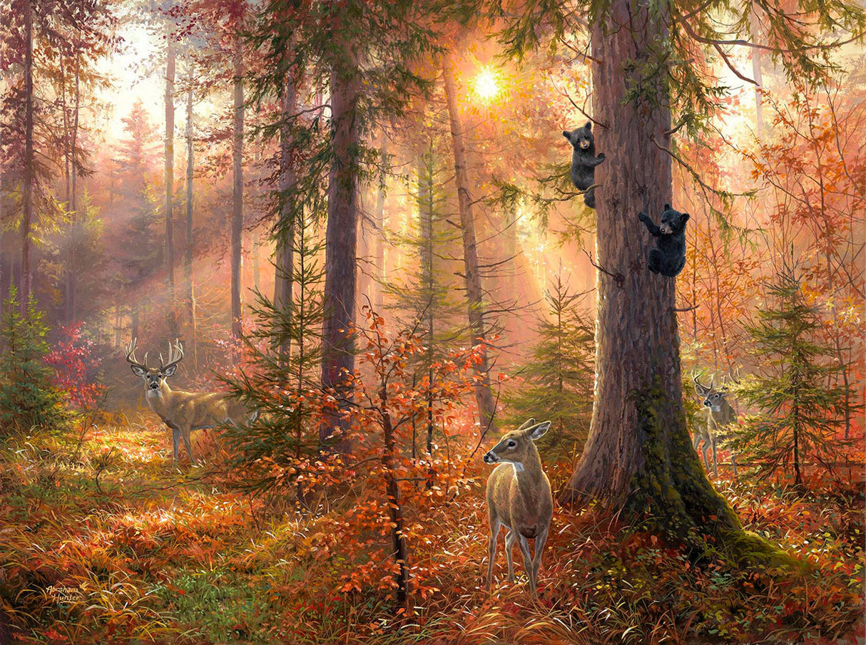 Forest Light Jigsaw Puzzle