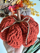 Cozy Cottage Cable Pumpkin Kit