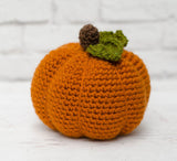 Pumpkin Trio Crochet Kit