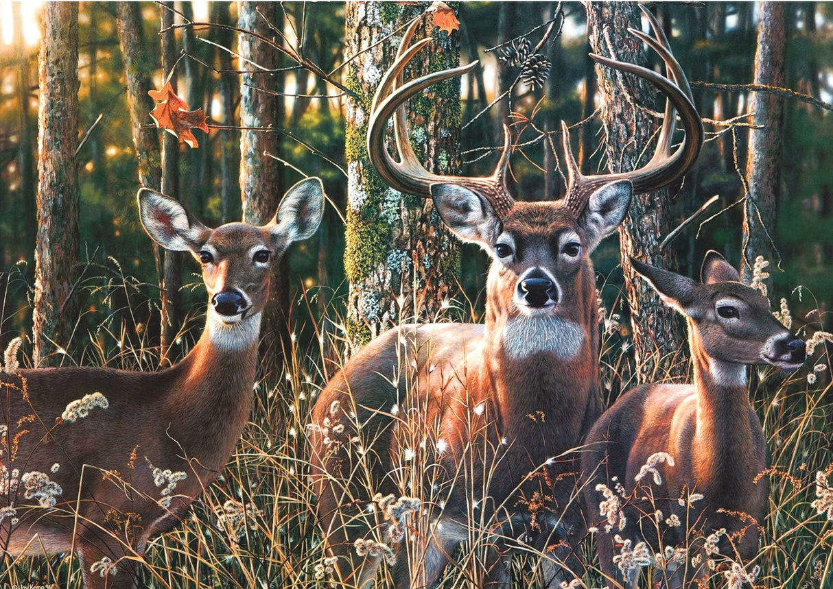 Puzzle Ombres des bois