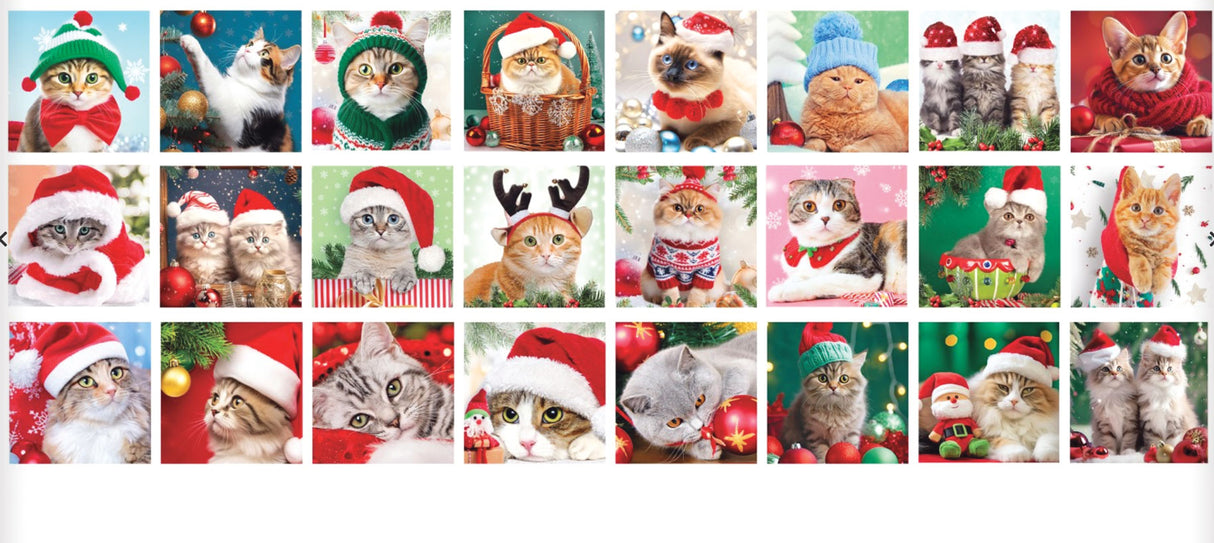 Christmas Whiskers 24 Advent Puzzles