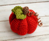 Pumpkin Trio Crochet Kit