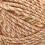 Bernat Forever Fleece Yarn