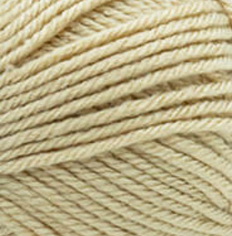 Lion Brand Basic Stitch Anti-Pilling Yarn