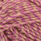 Bernat Forever Fleece Yarn