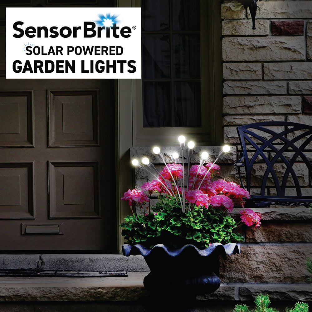 Solar Garden Lights