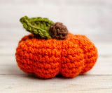 Pumpkin Trio Crochet Kit