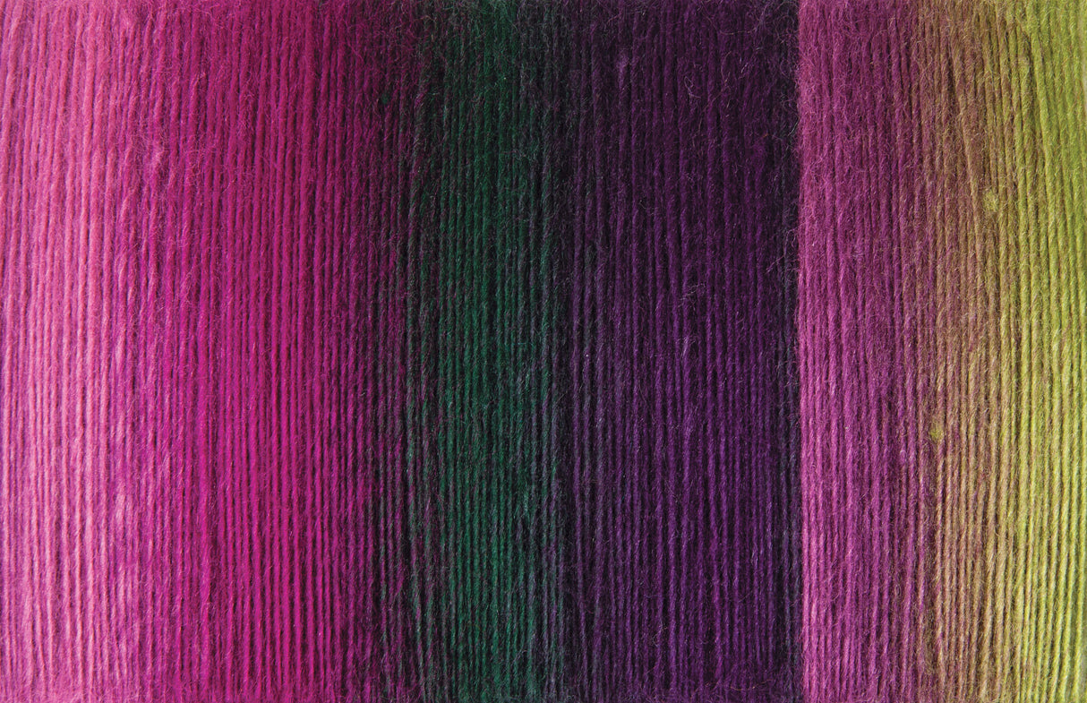 Mary Maxim Prism Yarn