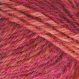 Patons Kroy Sock Yarn