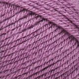 Lion Brand Vanna's Choice Yarn