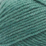 Lion Brand Vanna's Choice Yarn