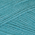 Mary Maxim Maximum Value Yarn