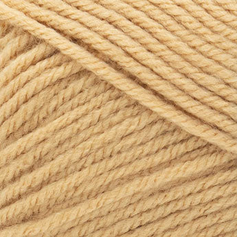 Lion Brand Basic Stitch Anti-Pilling Yarn-Skein Tones Ebony, 1
