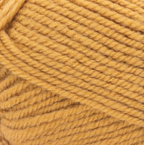 Patons Inspired Yarn