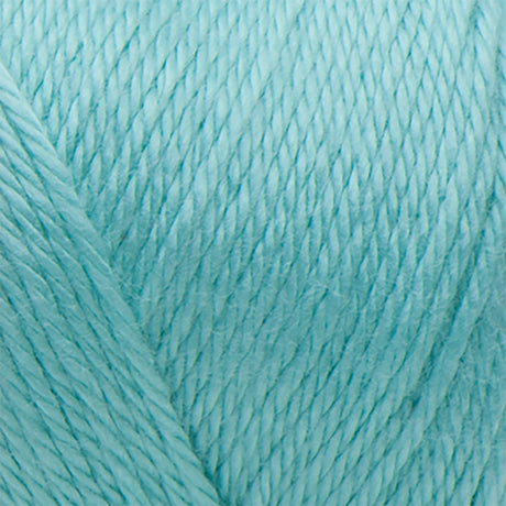 Caron Simply Soft Yarn