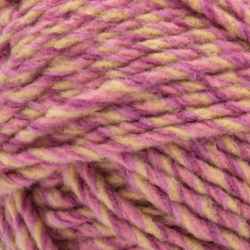 Bernat Forever Fleece Yarn