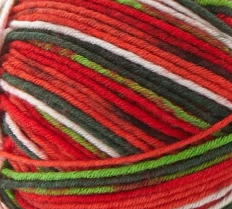 Premier Fruits Sock Yarn