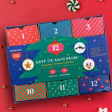 Red Heart 2024 Advent Calendar Kit