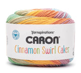 Caron Cinnamon Swirl Yarn