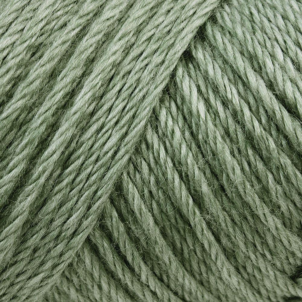 Caron Simply Soft Solids - Enid's Collection