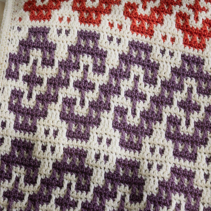 Desert Cactus Mosaic Crochet Blanket – Mary Maxim