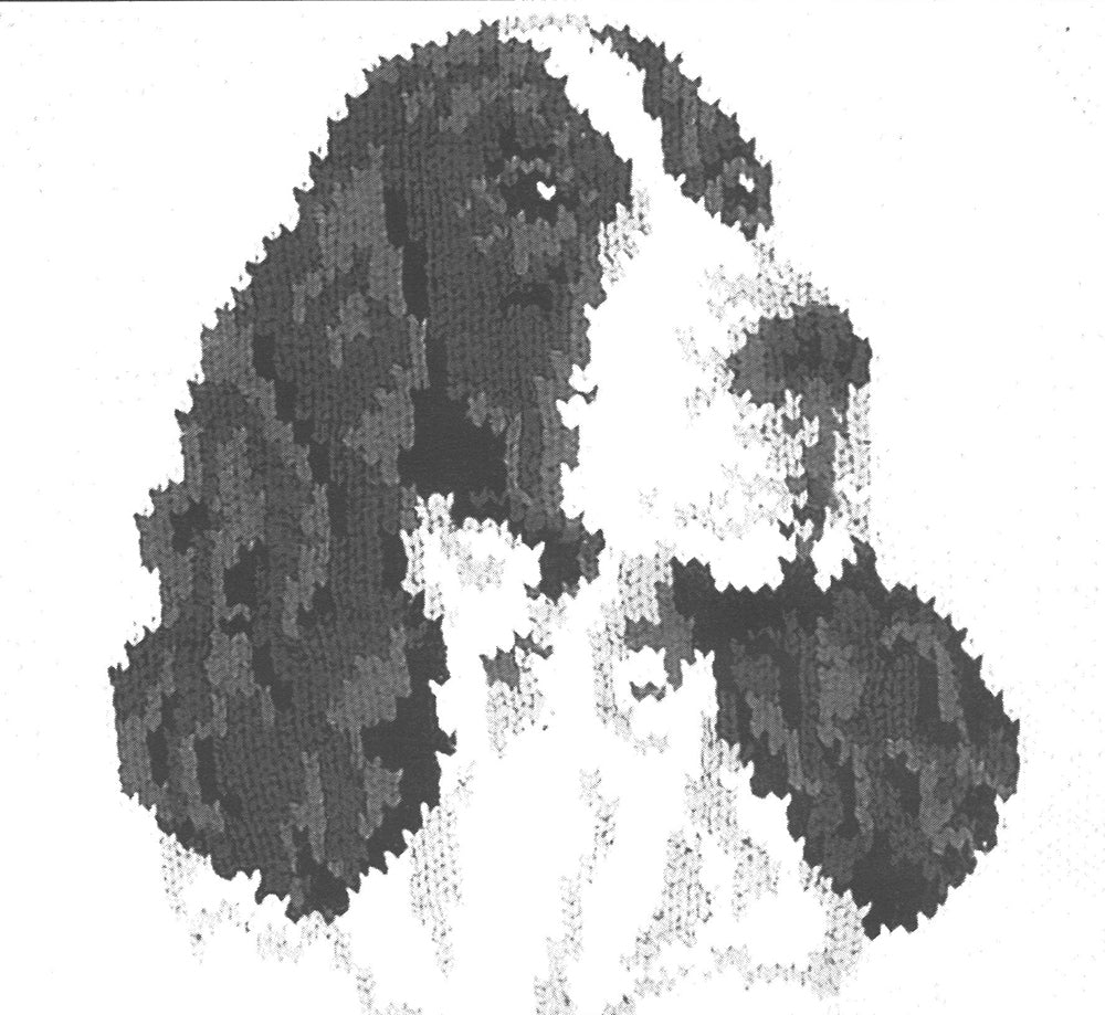 Patrón de chaqueta Springer Spaniel