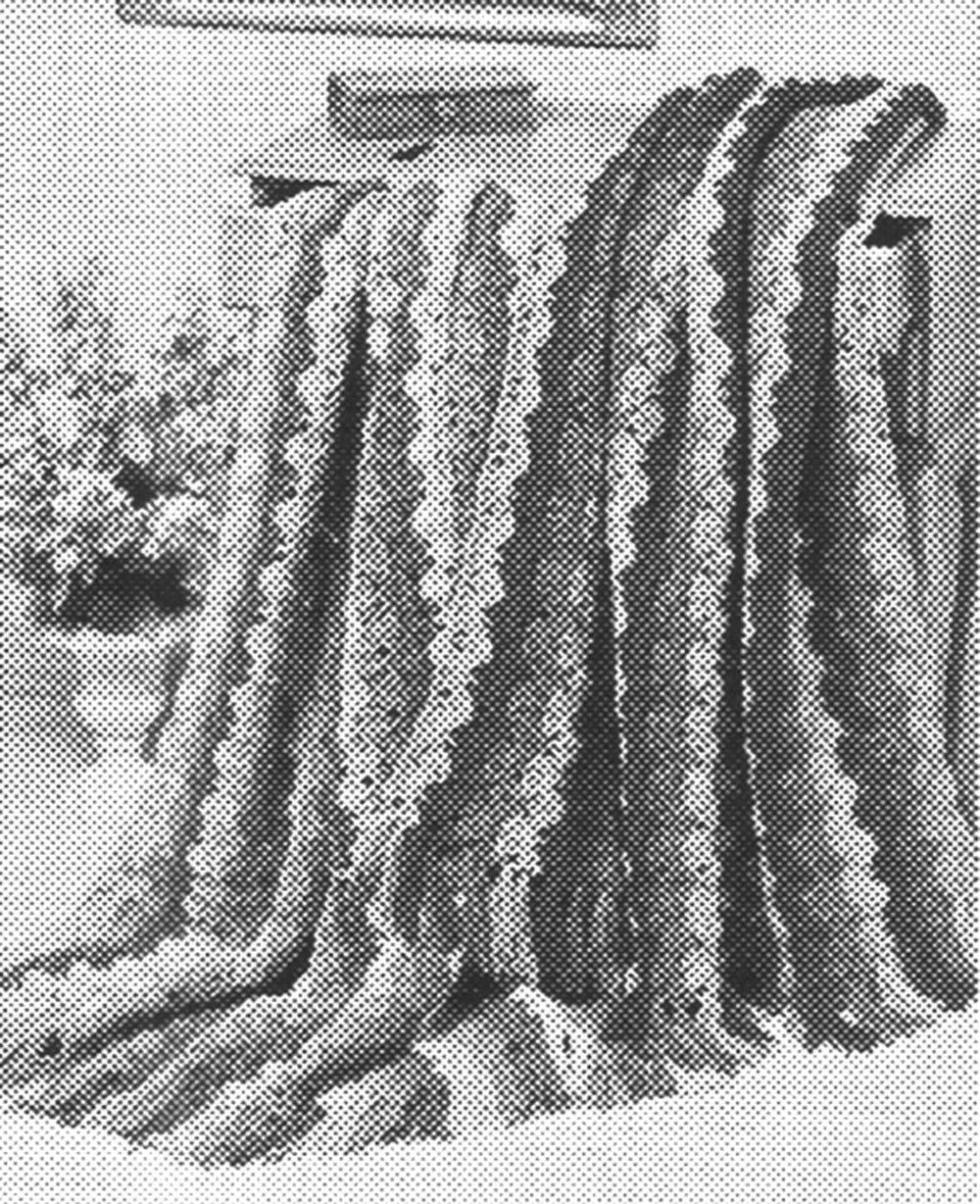 Shell Afghan Pattern