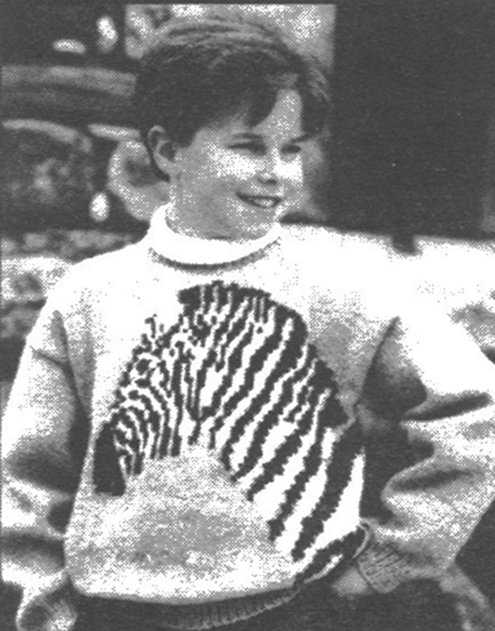 Zebra Pullover Pattern